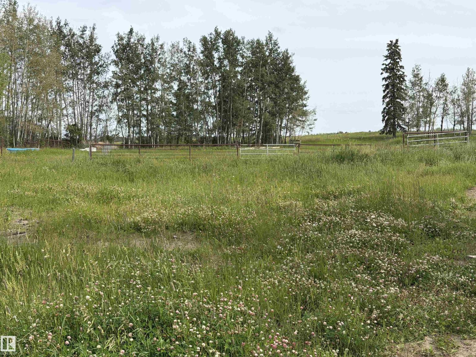 274043 Twp Road 480, Rural Wetaskiwin County, Alberta T0C 2P0 - Photo 13 - E4499654