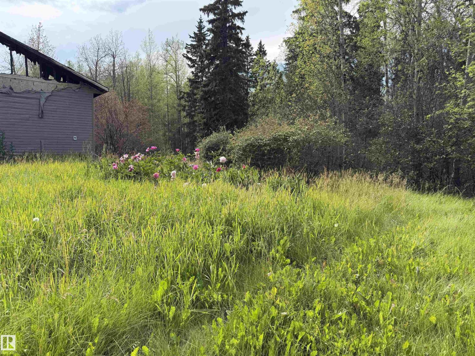 274043 Twp Road 480, Rural Wetaskiwin County, Alberta T0C 2P0 - Photo 14 - E4499654