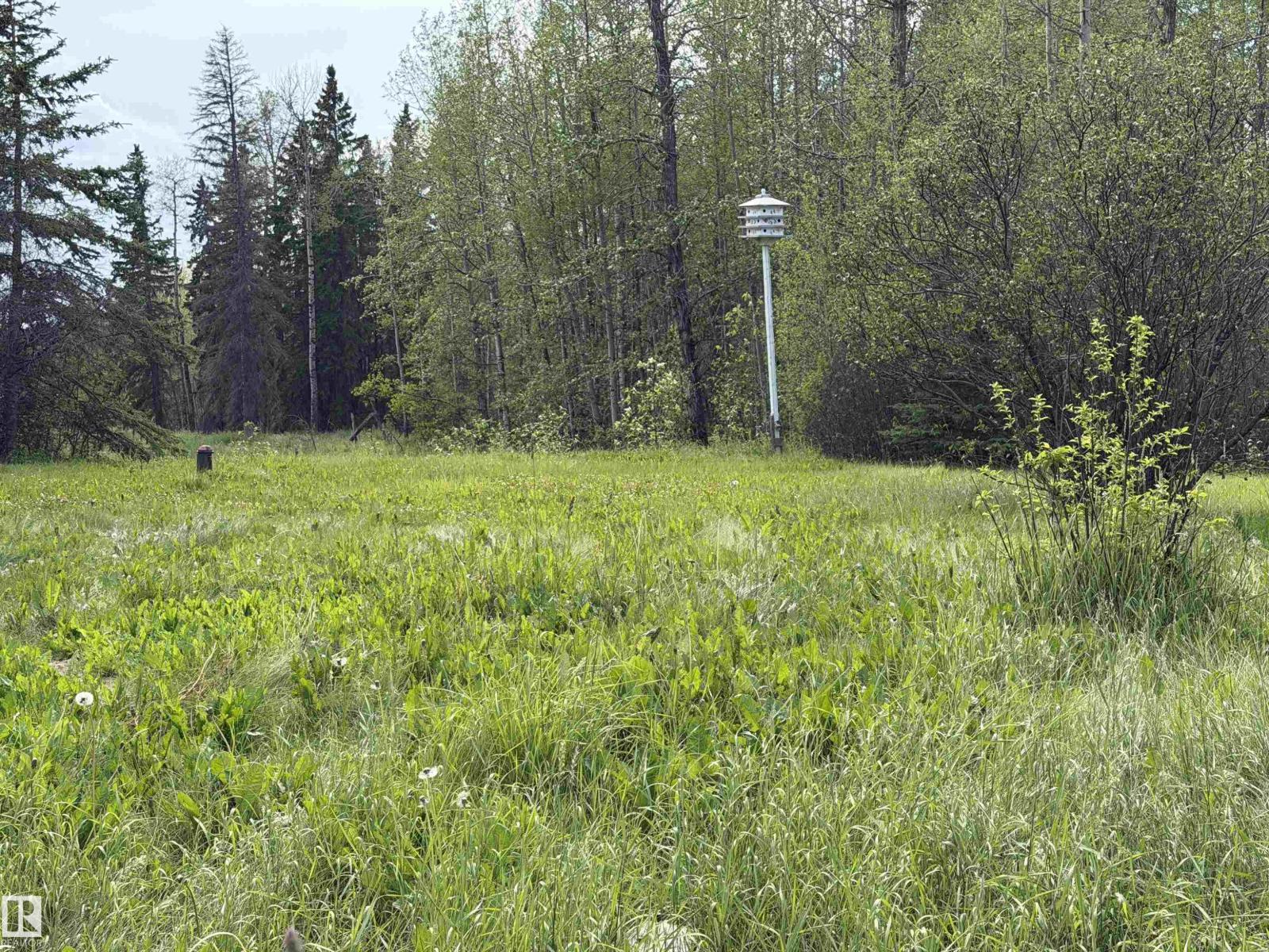 274043 Twp Road 480, Rural Wetaskiwin County, Alberta T0C 2P0 - Photo 15 - E4499654
