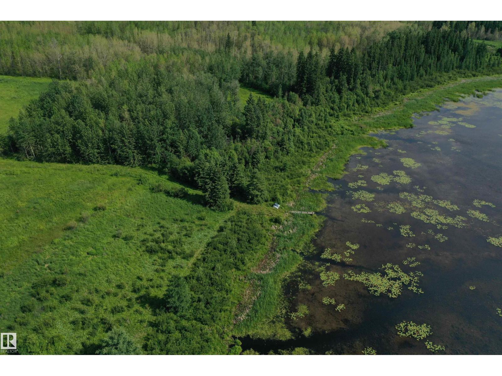 274043 Twp Road 480, Rural Wetaskiwin County, Alberta T0C 2P0 - Photo 17 - E4499654