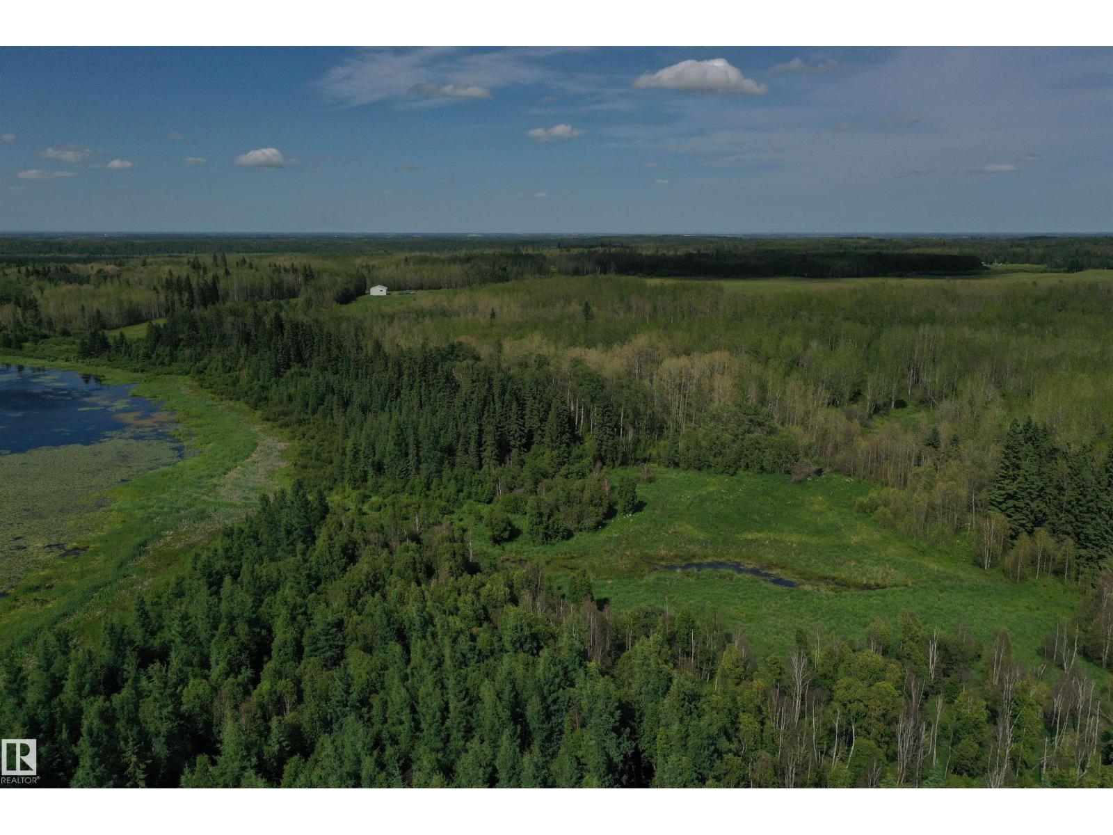 274043 Twp Road 480, Rural Wetaskiwin County, Alberta T0C 2P0 - Photo 18 - E4499654