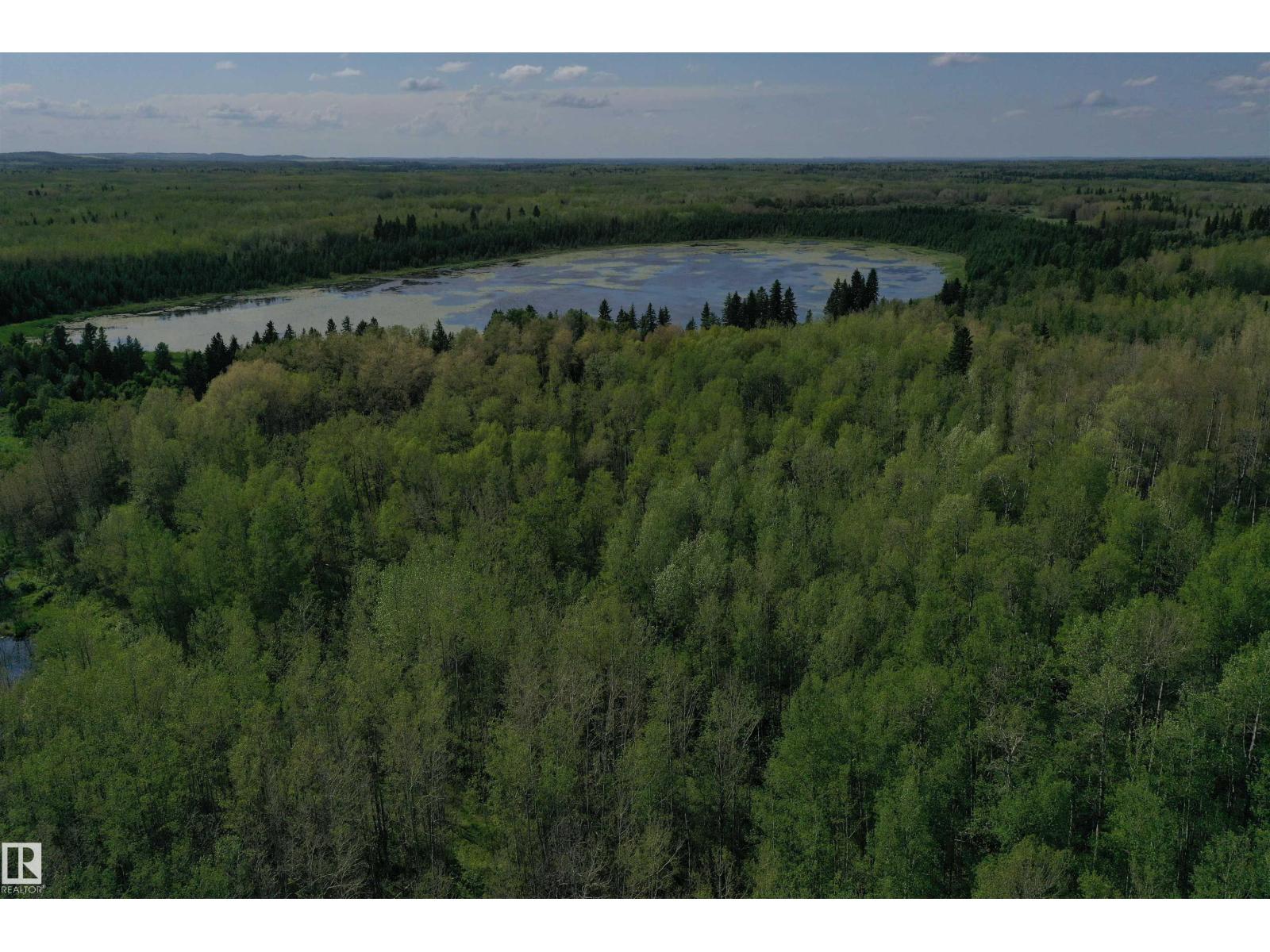 274043 Twp Road 480, Rural Wetaskiwin County, Alberta T0C 2P0 - Photo 19 - E4499654