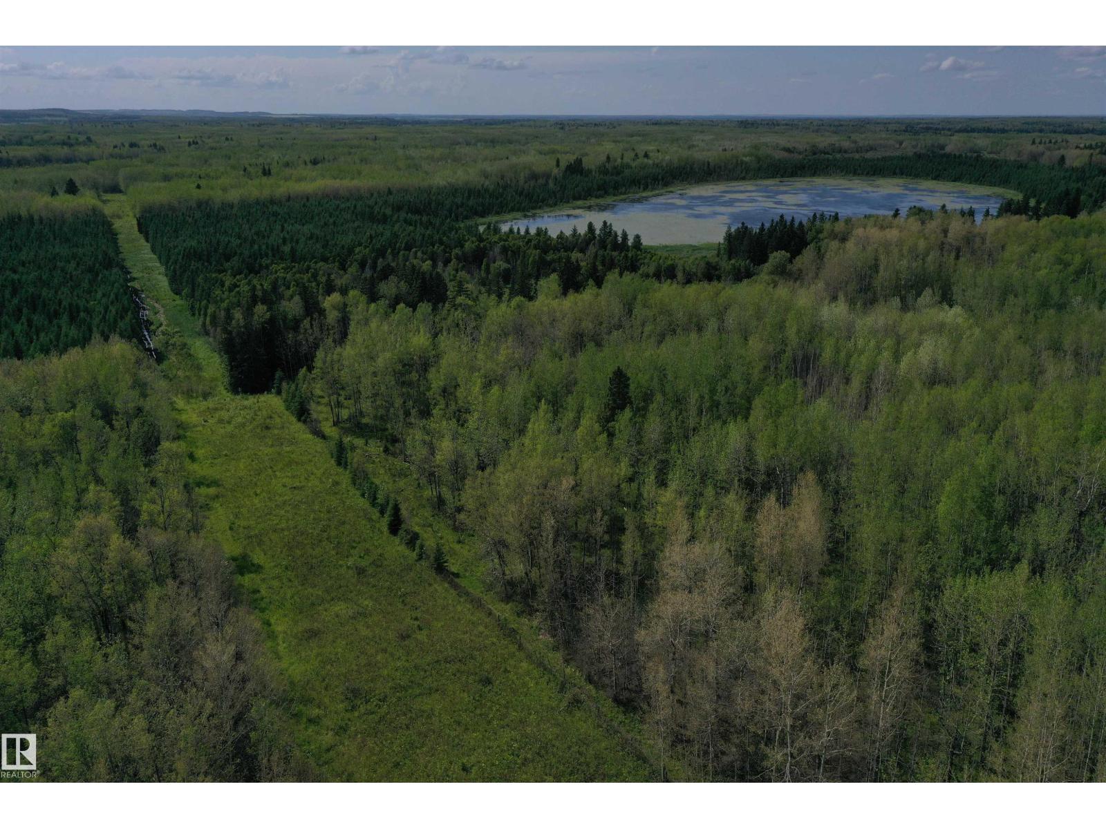 274043 Twp Road 480, Rural Wetaskiwin County, Alberta T0C 2P0 - Photo 20 - E4499654