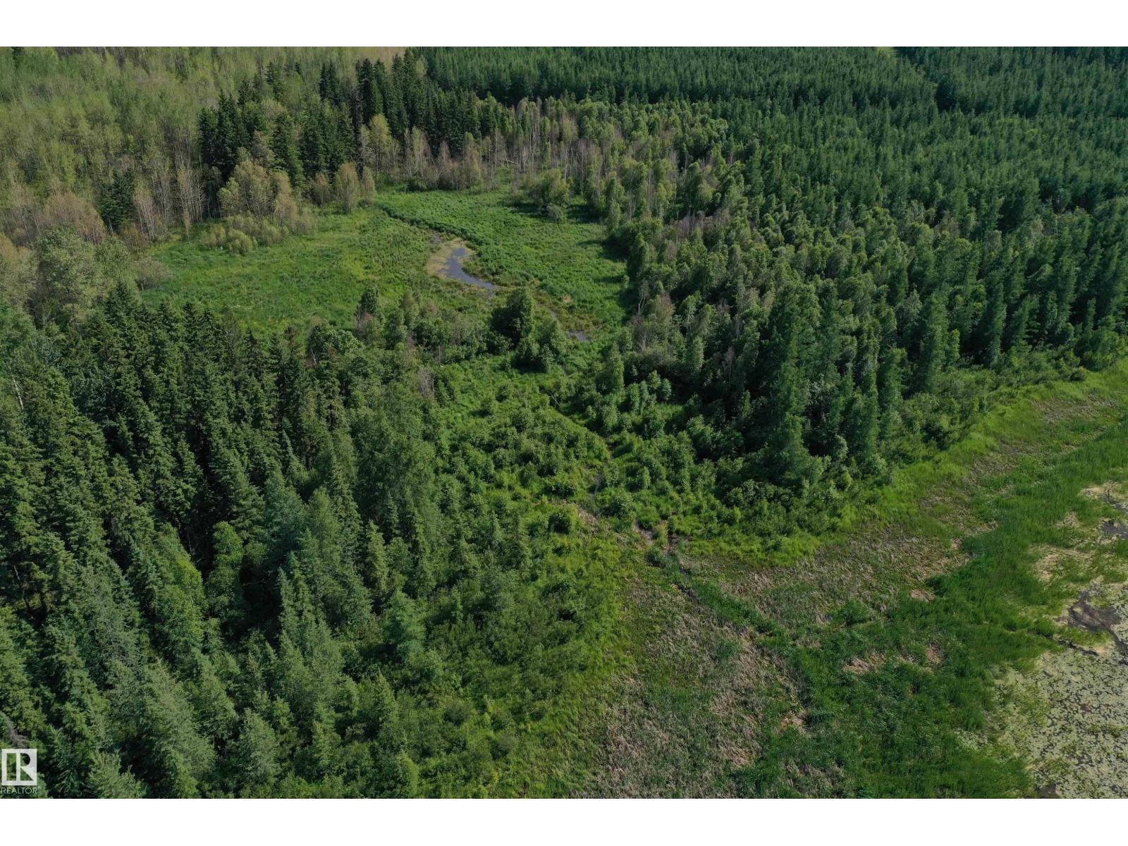 274043 Twp Road 480, Rural Wetaskiwin County, Alberta T0C 2P0 - Photo 22 - E4499654