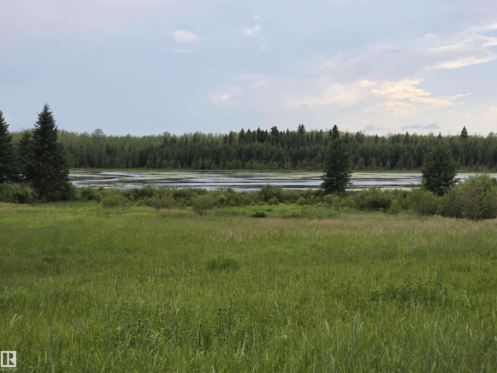 274043 Twp Road 480, Rural Wetaskiwin County, Alberta T0C 2P0 - Photo 23 - E4499654
