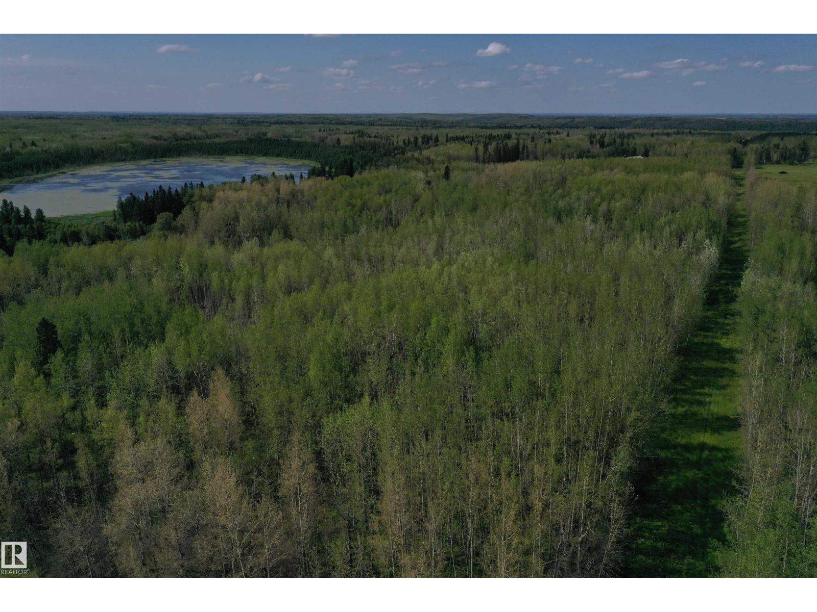 274043 Twp Road 480, Rural Wetaskiwin County, Alberta T0C 2P0 - Photo 24 - E4499654