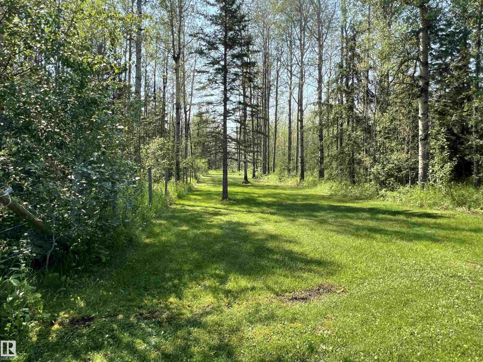 49427 Rr 81, Rural Brazeau County, Alberta T7A 2A3 - Photo 56 - E4499703
