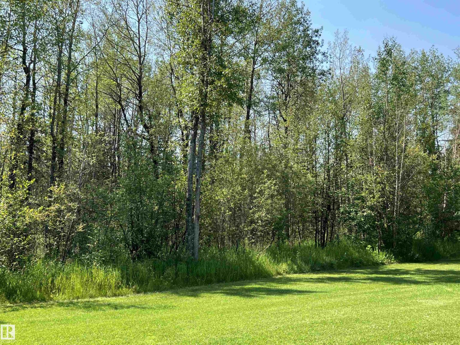 49427 Rr 81, Rural Brazeau County, Alberta T7A 2A3 - Photo 60 - E4499703
