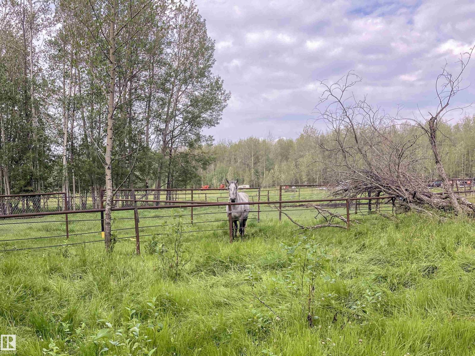 451043 Rge Rd 70a, Rural Wetaskiwin County, Alberta  T0C 0A0 - Photo 11 - E4500016