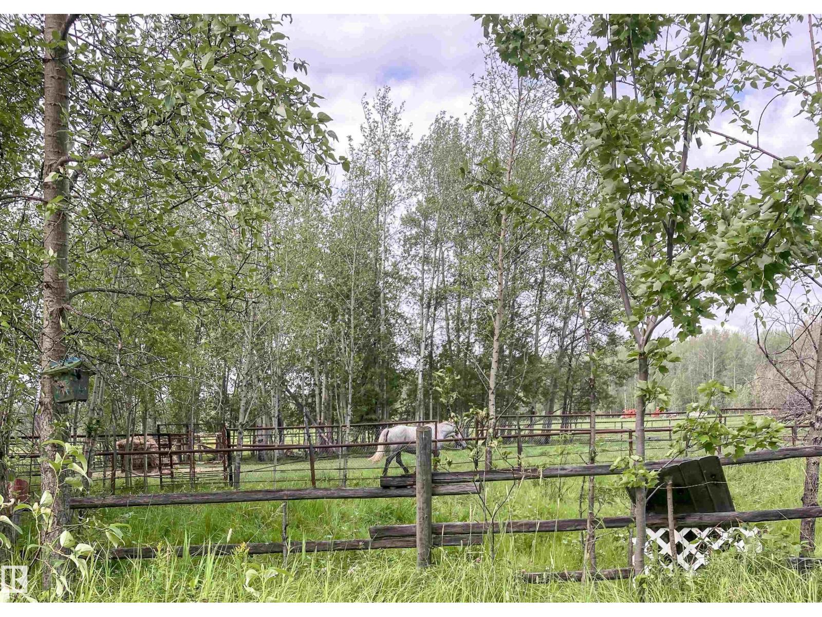 451043 Rge Rd 70a, Rural Wetaskiwin County, Alberta  T0C 0A0 - Photo 7 - E4500016