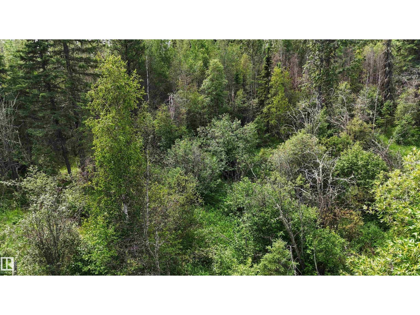Rr 85, Rural Brazeau County, Alberta T7A 2A3 - Photo 10 - E4500143