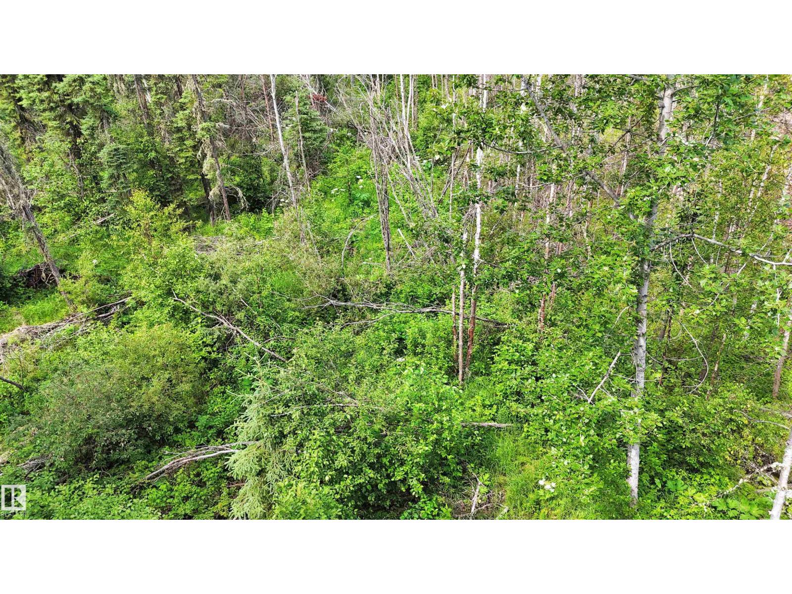 Rr 85, Rural Brazeau County, Alberta T7A 2A3 - Photo 18 - E4500143