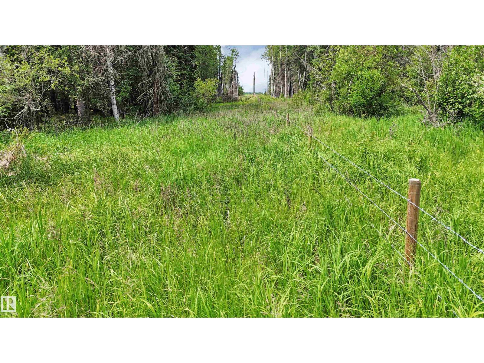 Rr 85, Rural Brazeau County, Alberta T7A 2A3 - Photo 23 - E4500143