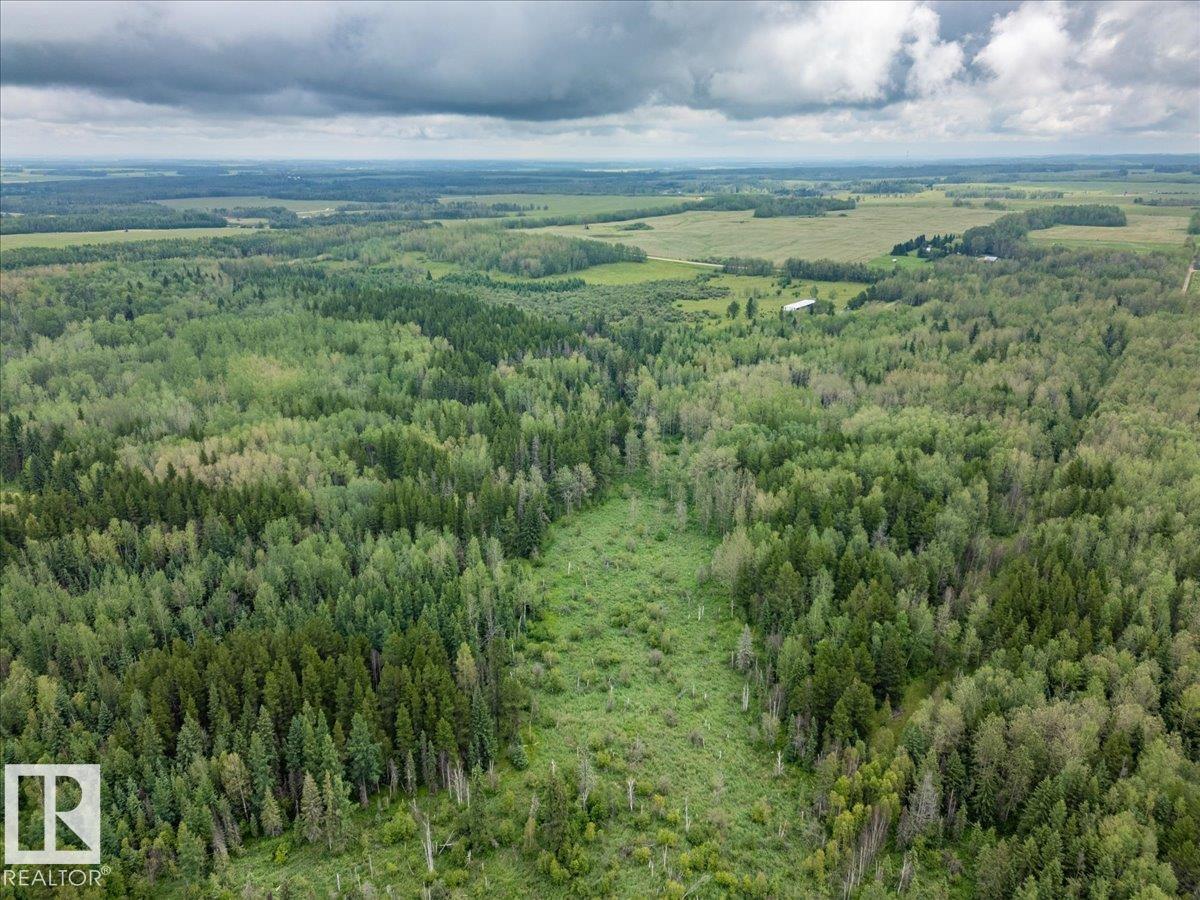 47510 Rge Rd 31, Rural Leduc County, Alberta T0C 2T0 - Photo 12 - E4500176