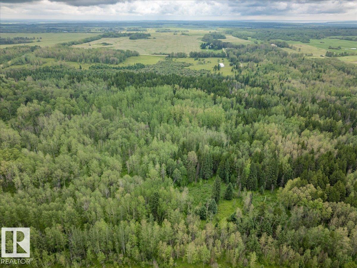 47510 Rge Rd 31, Rural Leduc County, Alberta T0C 2T0 - Photo 13 - E4500176