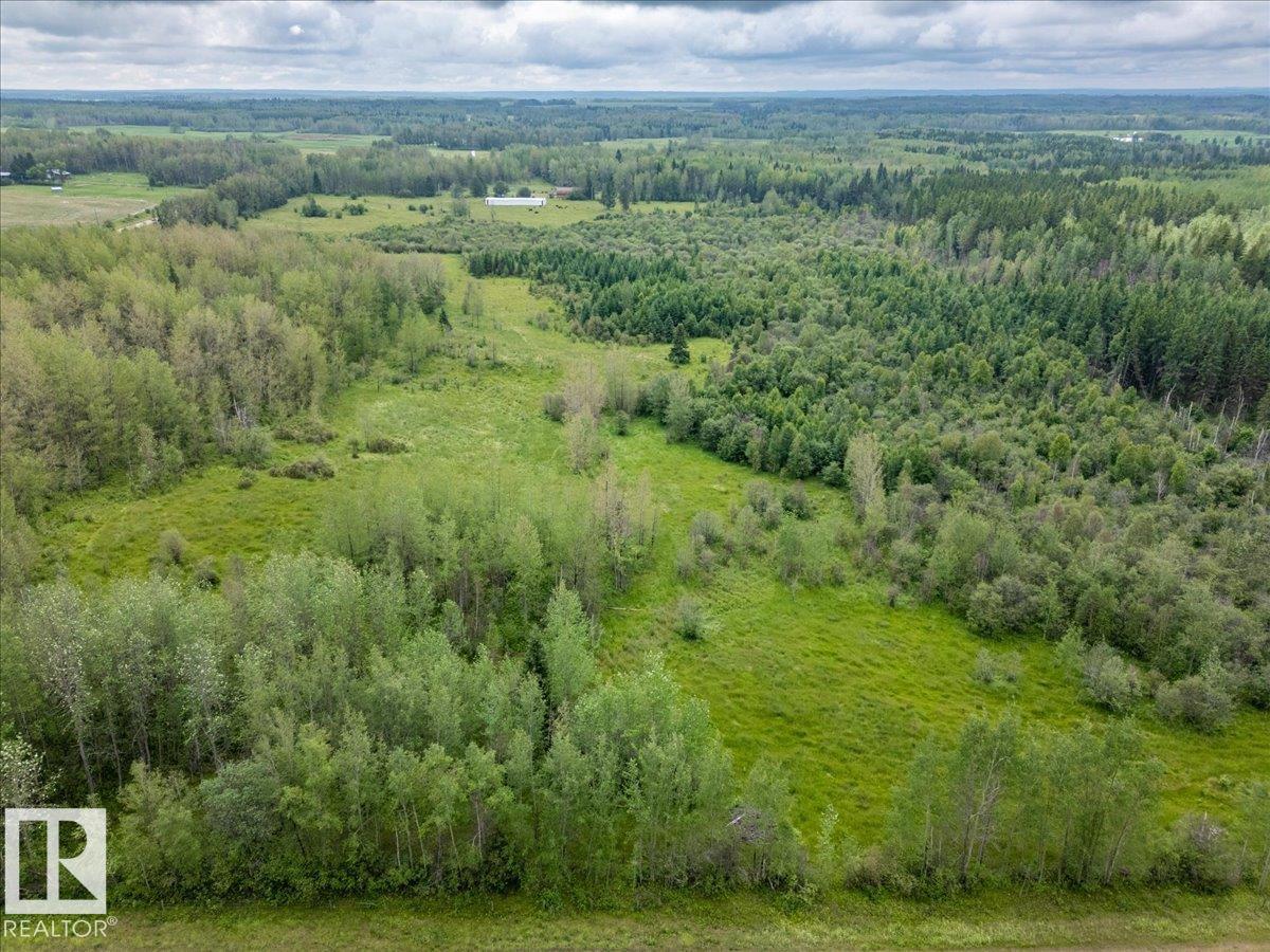 47510 Rge Rd 31, Rural Leduc County, Alberta T0C 2T0 - Photo 15 - E4500176