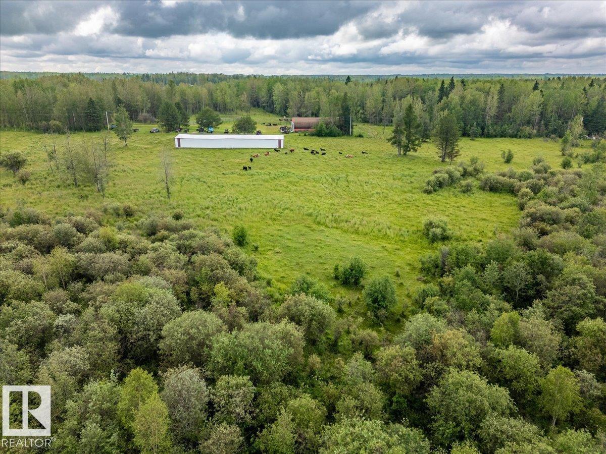 47510 Rge Rd 31, Rural Leduc County, Alberta T0C 2T0 - Photo 19 - E4500176