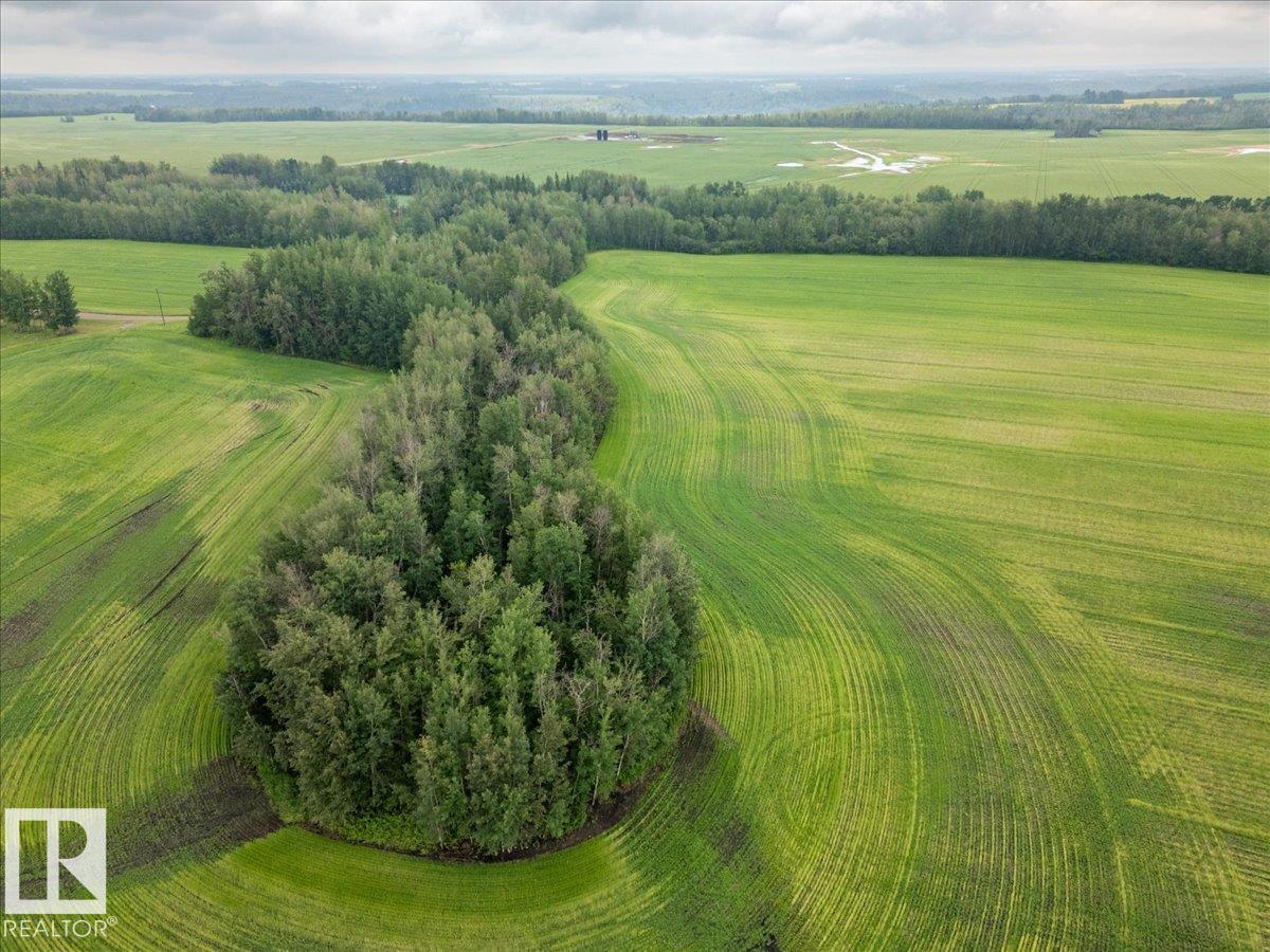 Part Of Ne-16-50-1-W5, Rural Leduc County, Alberta T0C 2P0 - Photo 11 - E4500186