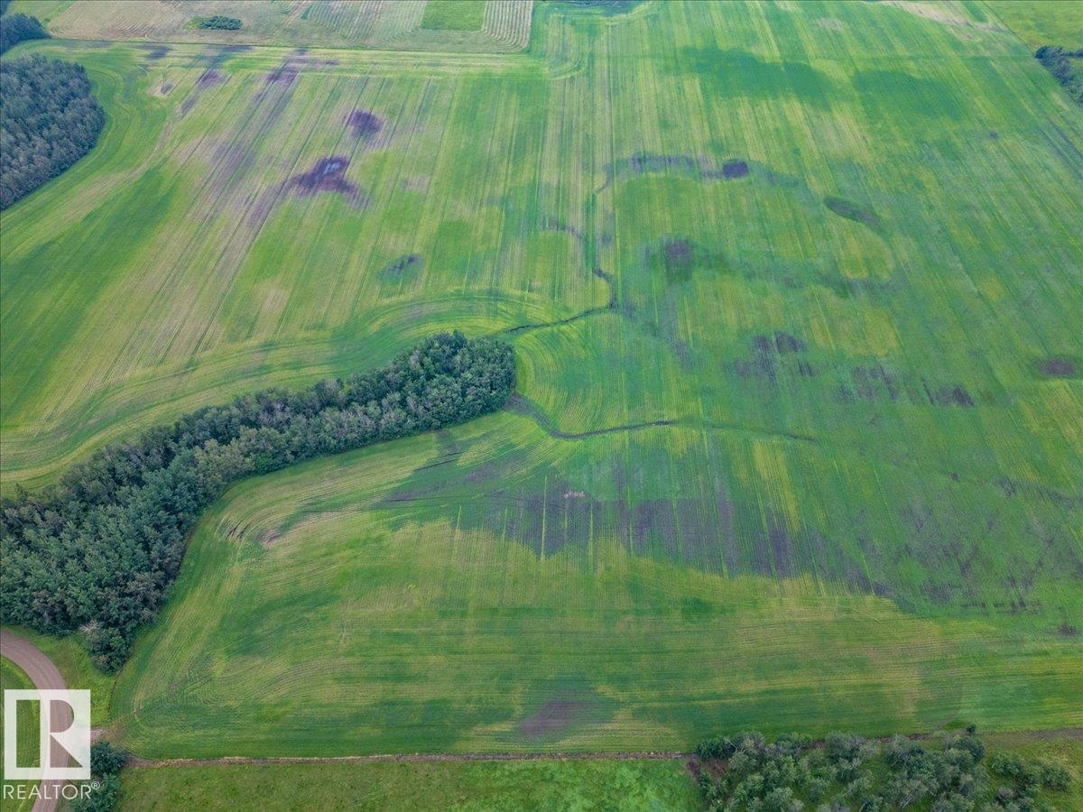 Part Of Ne-16-50-1-W5, Rural Leduc County, Alberta T0C 2P0 - Photo 14 - E4500186
