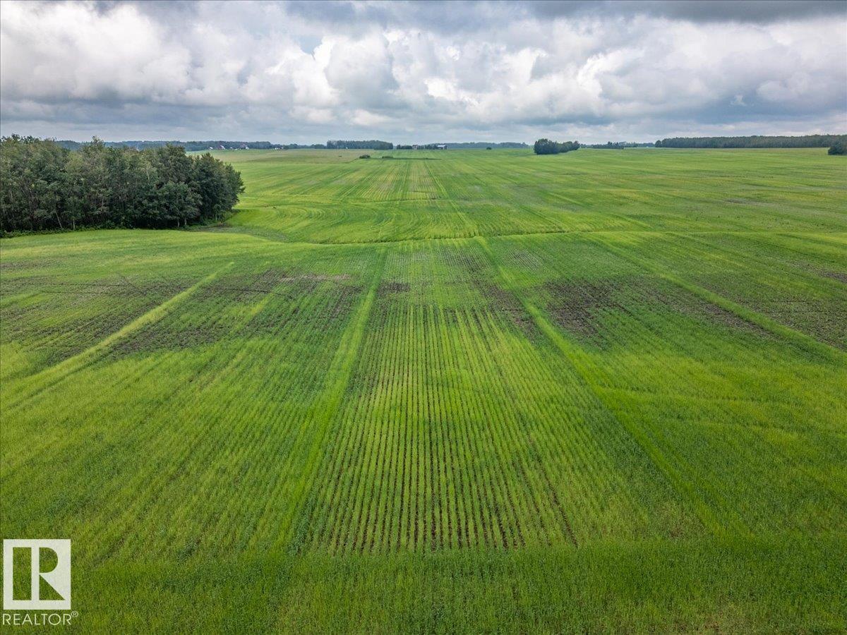 Part Of Ne-16-50-1-W5, Rural Leduc County, Alberta T0C 2P0 - Photo 17 - E4500186