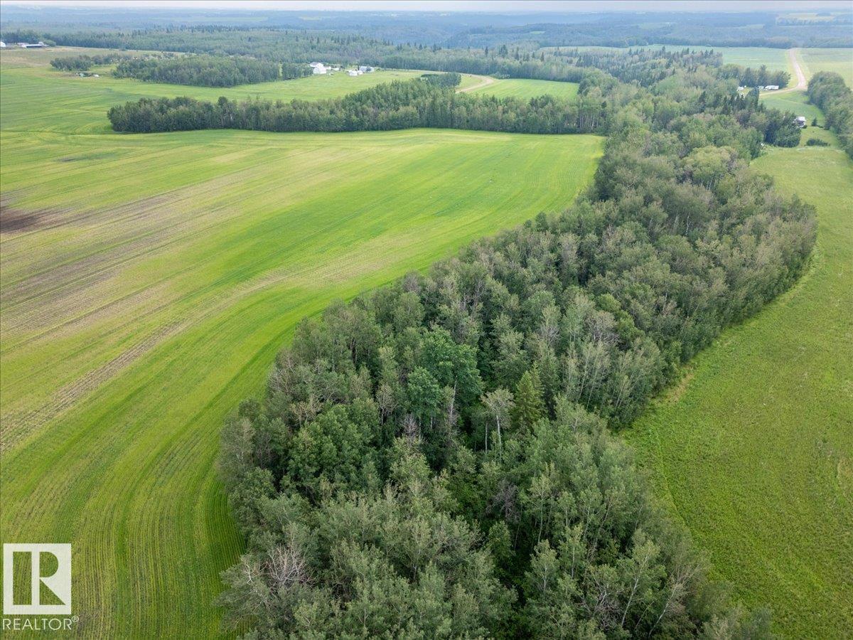 Part Of Ne-16-50-1-W5, Rural Leduc County, Alberta T0C 2P0 - Photo 6 - E4500186