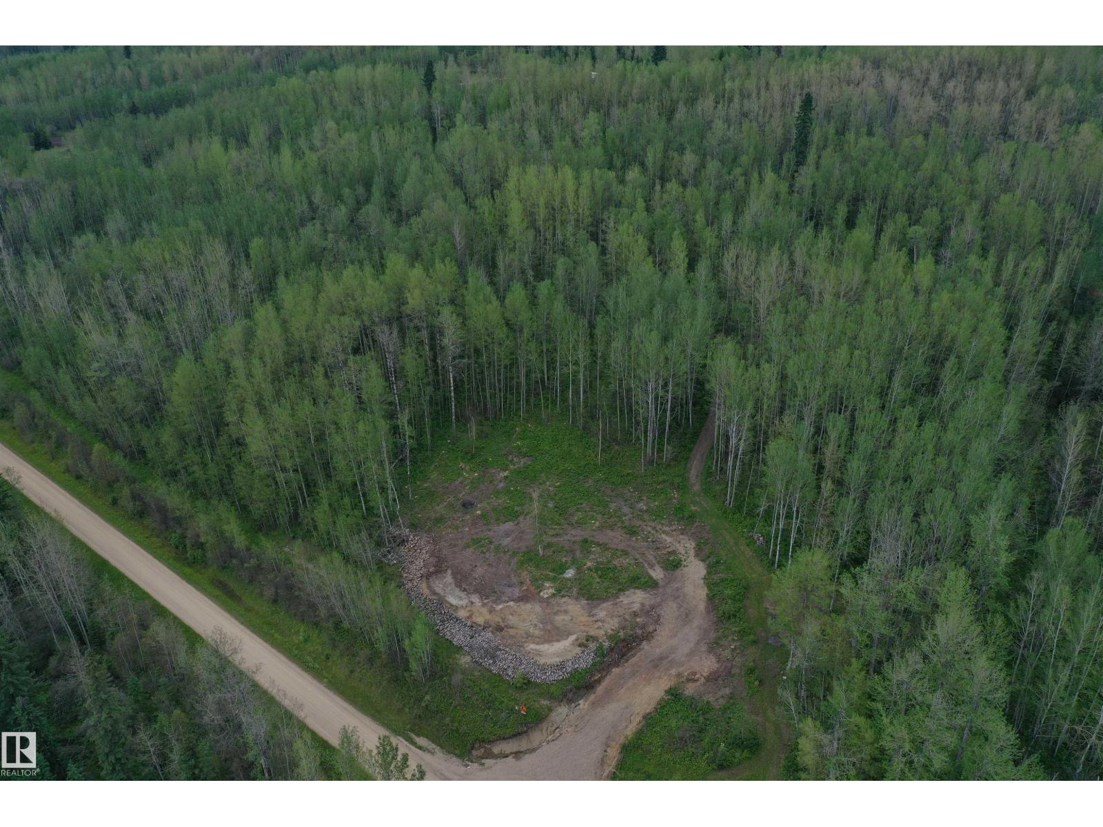 22080 Twp Road 463a, Rural Wetaskiwin County, Alberta T0C 2V0 - Photo 21 - E4500194