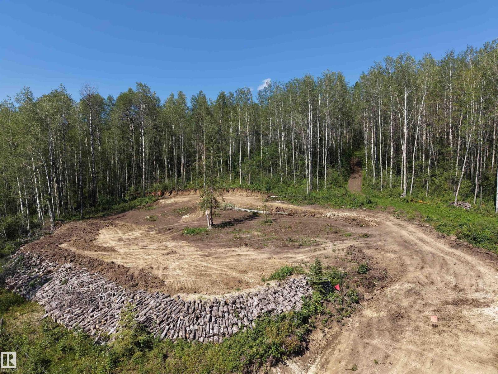 22080 Twp Road 463a, Rural Wetaskiwin County, Alberta T0C 2V0 - Photo 31 - E4500194