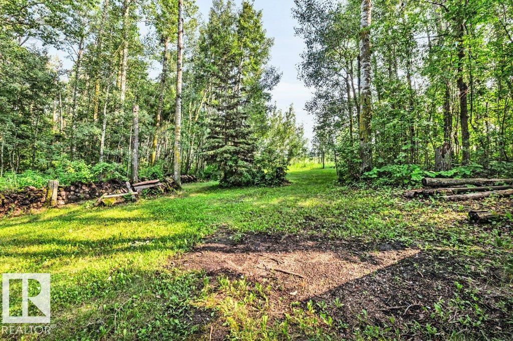 188 Lakeshore Drive, S.v. Grandview, Rural Wetaskiwin County, Alberta T0C 2V0 - Photo 37 - E4500466