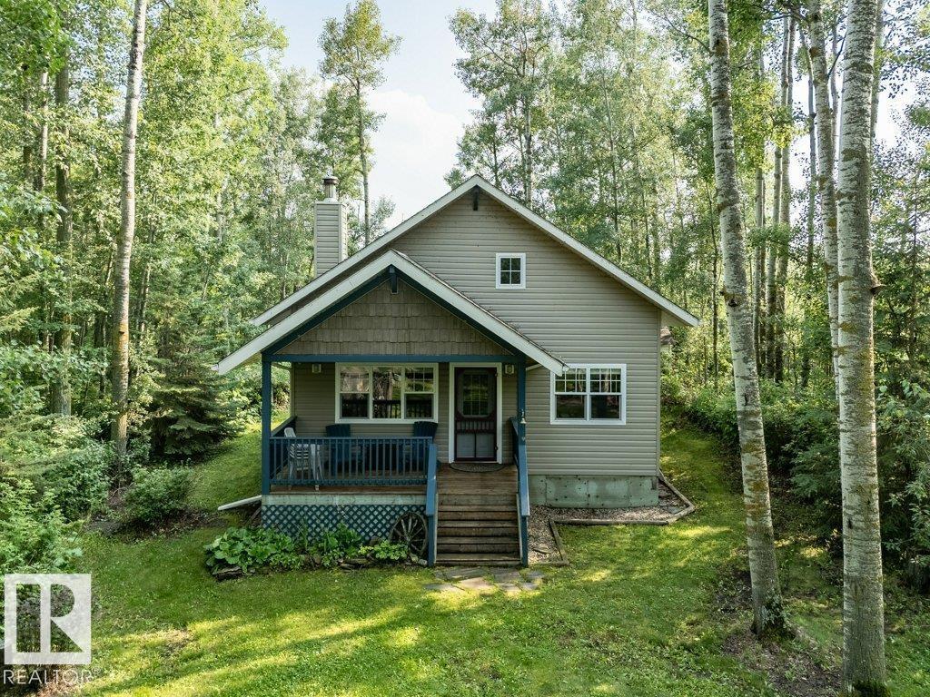 188 Lakeshore Drive, S.v. Grandview, Rural Wetaskiwin County, Alberta T0C 2V0 - Photo 45 - E4500466