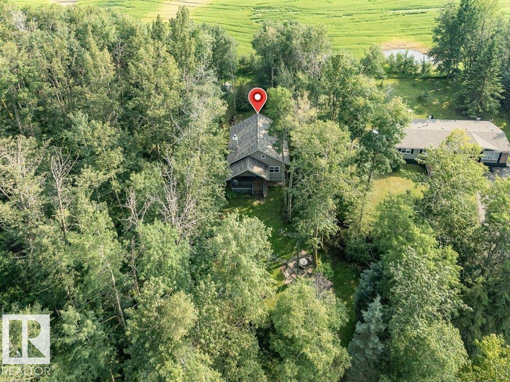 188 Lakeshore Drive, S.v. Grandview, Rural Wetaskiwin County, Alberta T0C 2V0 - Photo 46 - E4500466