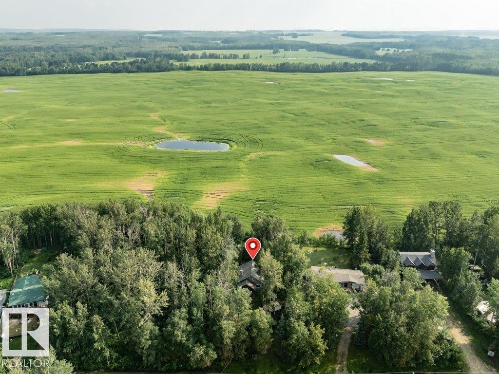 188 Lakeshore Drive, S.v. Grandview, Rural Wetaskiwin County, Alberta T0C 2V0 - Photo 47 - E4500466