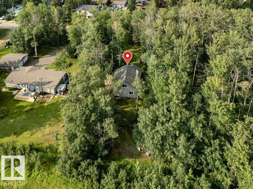 188 Lakeshore Drive, S.v. Grandview, Rural Wetaskiwin County, Alberta T0C 2V0 - Photo 56 - E4500466