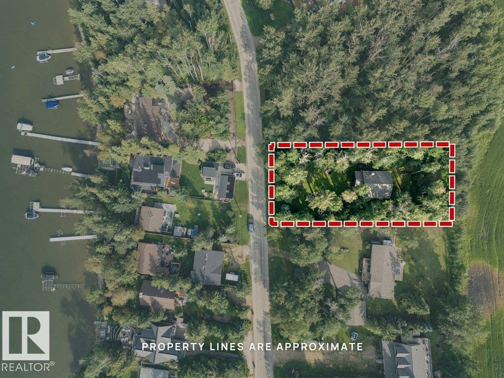 188 Lakeshore Drive, S.v. Grandview, Rural Wetaskiwin County, Alberta T0C 2V0 - Photo 58 - E4500466