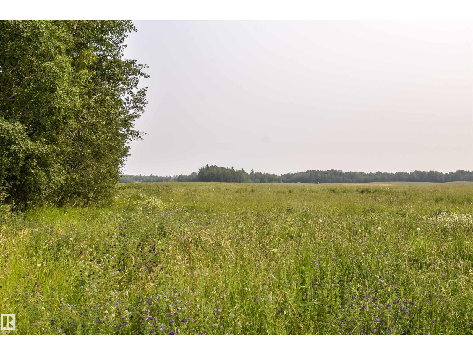Twp Rd 534 And Hwy 43, Rural Parkland County, Alberta T0E 1V0 - Photo 3 - E4500670