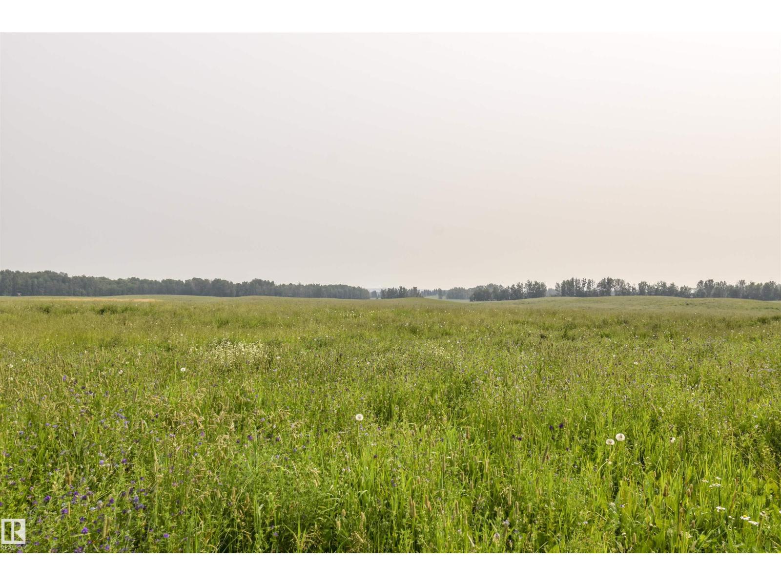 Twp Rd 534 And Hwy 43, Rural Parkland County, Alberta T0E 1V0 - Photo 4 - E4500670