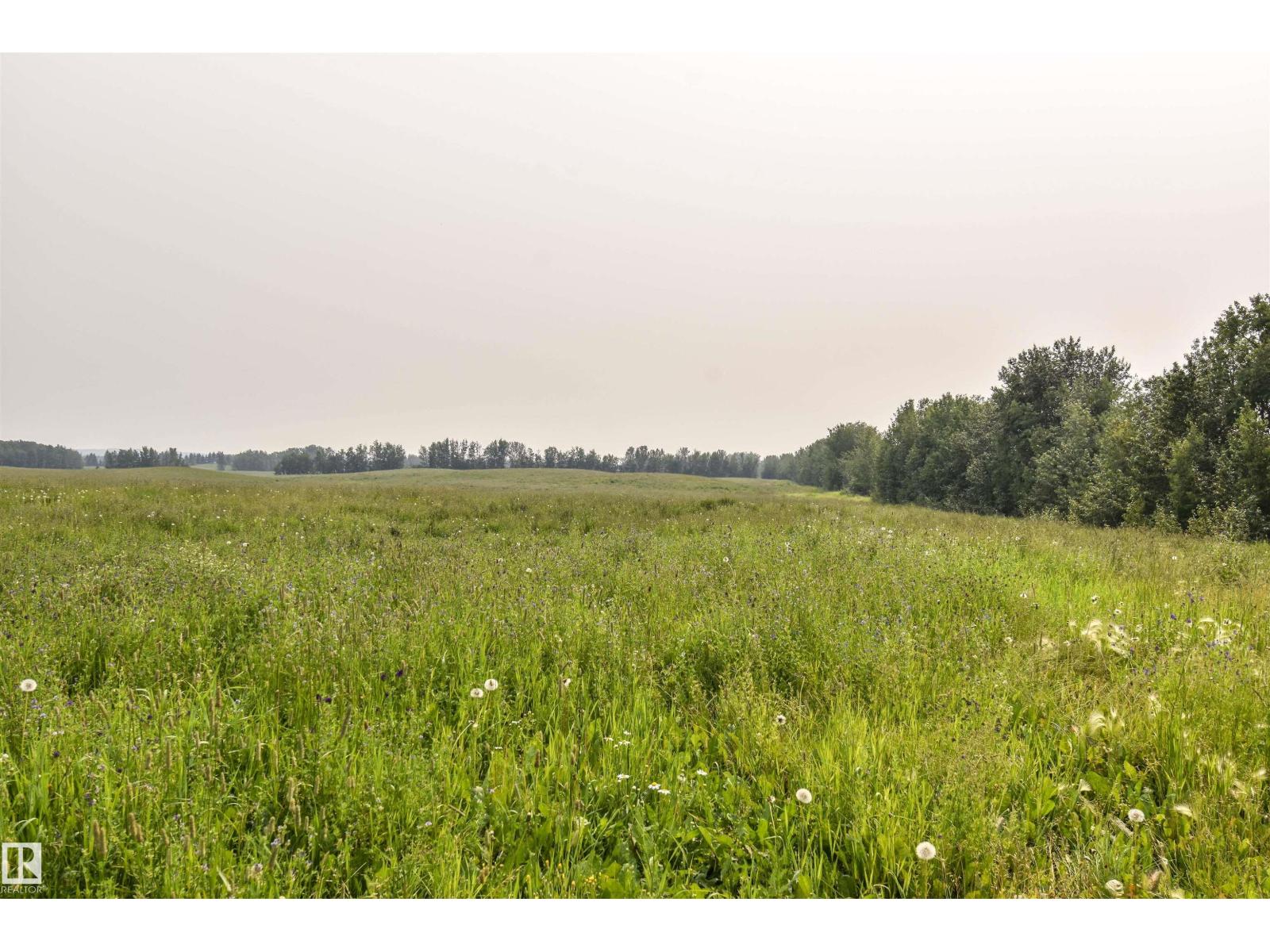 Twp Rd 534 And Hwy 43, Rural Parkland County, Alberta T0E 1V0 - Photo 5 - E4500670