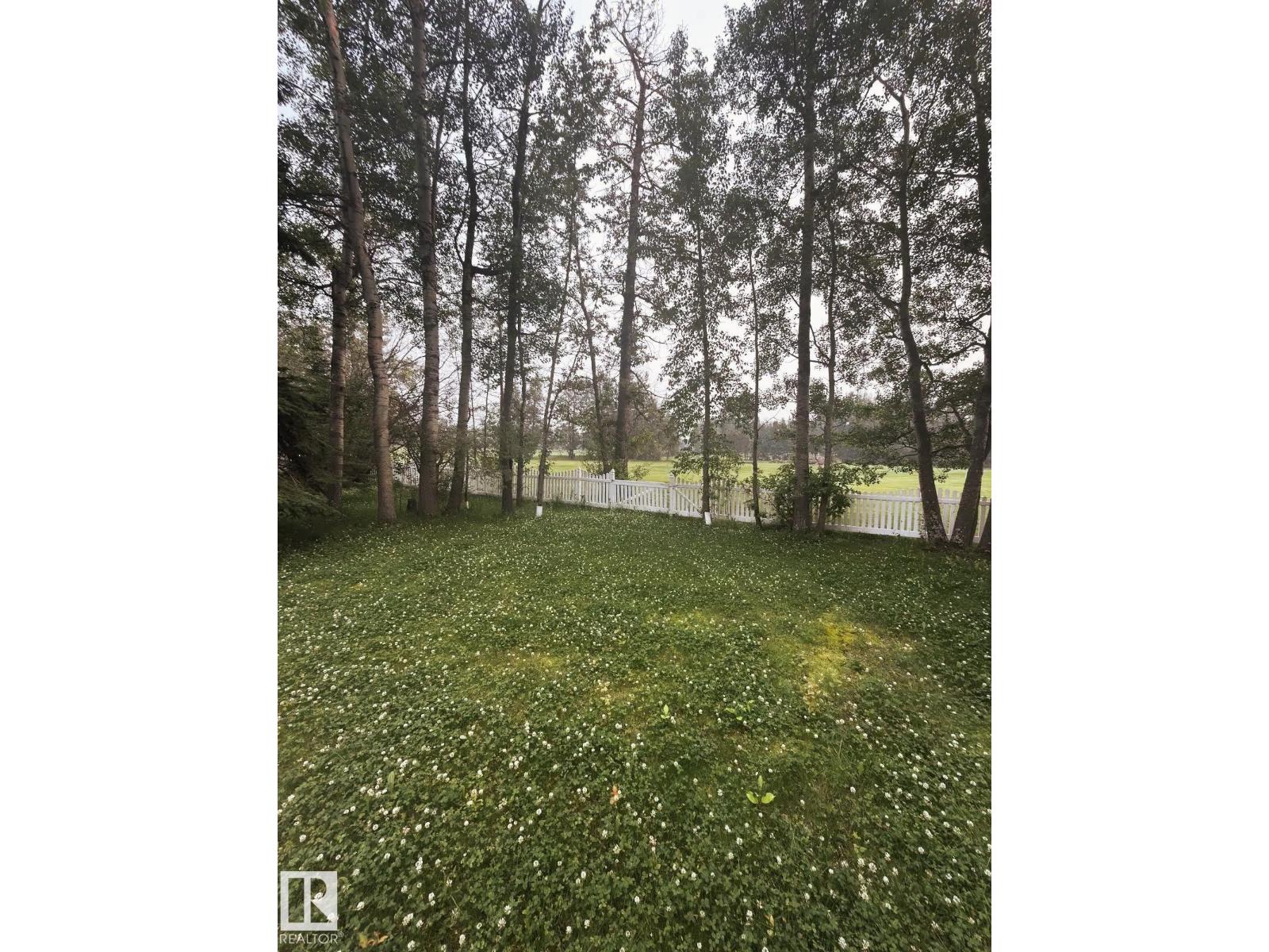 4101 Scott Av, Rural Wetaskiwin County, Alberta T0C 2C0 - Photo 4 - E4500790