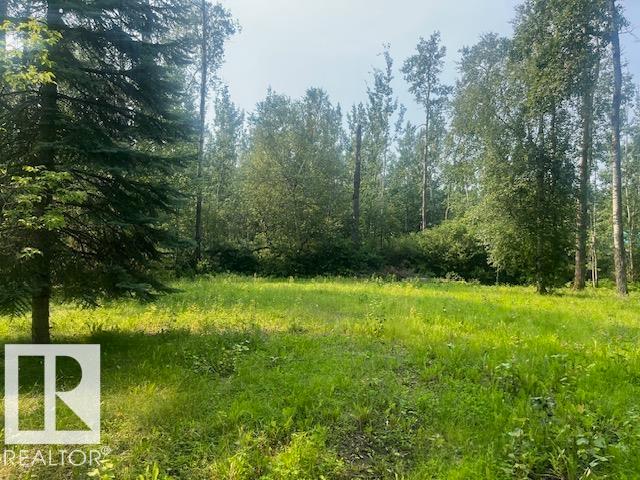 #113 55107 Rr 33, Rural Lac Ste. Anne County, Alberta  T0E 1A0 - Photo 3 - E4500852
