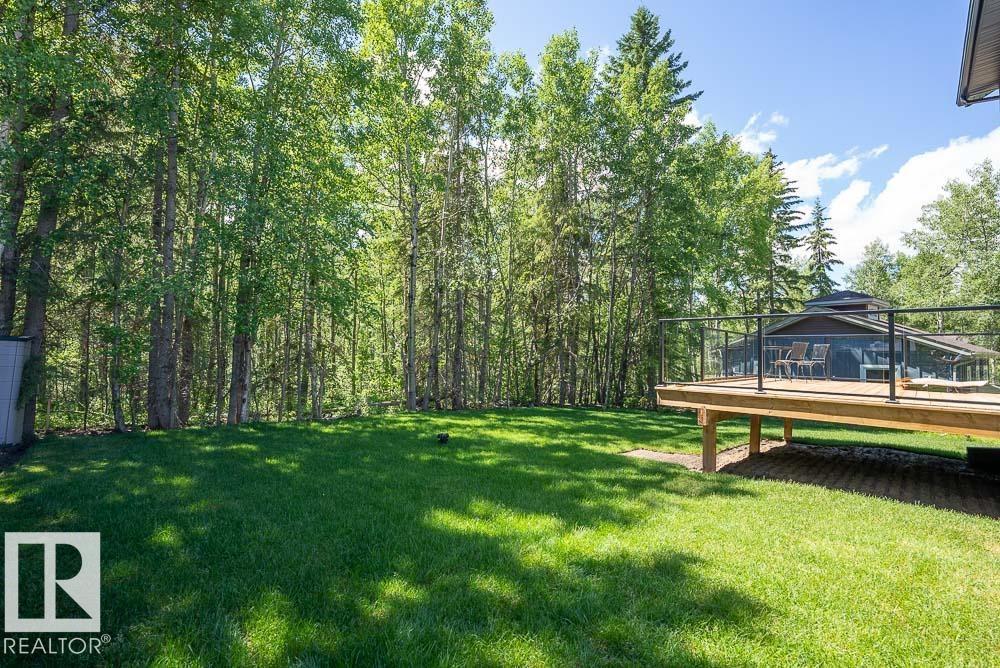 132 Heron Point Cl, Rural Wetaskiwin County, Alberta  T0C 2V0 - Photo 11 - E4500972