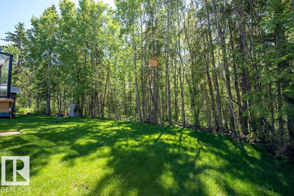 132 Heron Point Cl, Rural Wetaskiwin County, Alberta  T0C 2V0 - Photo 12 - E4500972