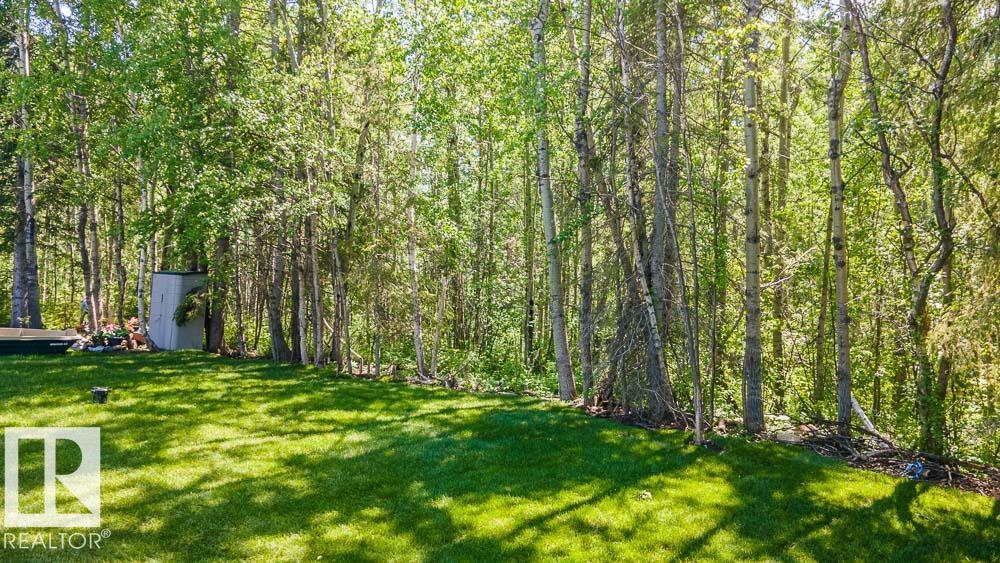 132 Heron Point Cl, Rural Wetaskiwin County, Alberta  T0C 2V0 - Photo 70 - E4500972