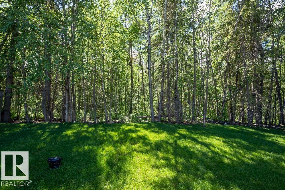 132 Heron Point Cl, Rural Wetaskiwin County, Alberta  T0C 2V0 - Photo 71 - E4500972