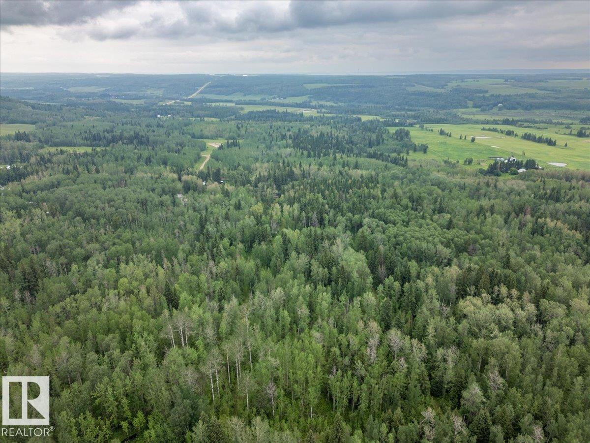 12055a Twp Road 454, Rural Wetaskiwin County, Alberta  T0C 2V0 - Photo 47 - E4501034