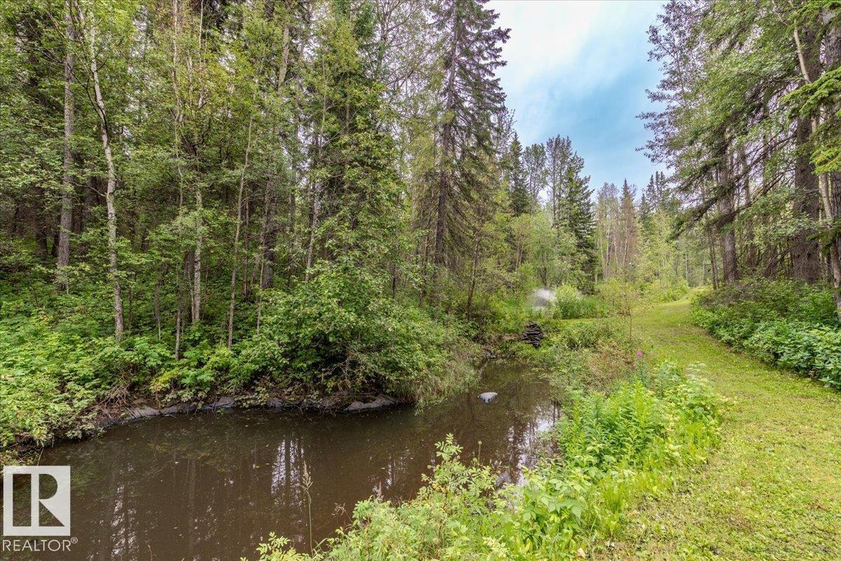 12055a Twp Road 454, Rural Wetaskiwin County, Alberta  T0C 2V0 - Photo 9 - E4501034