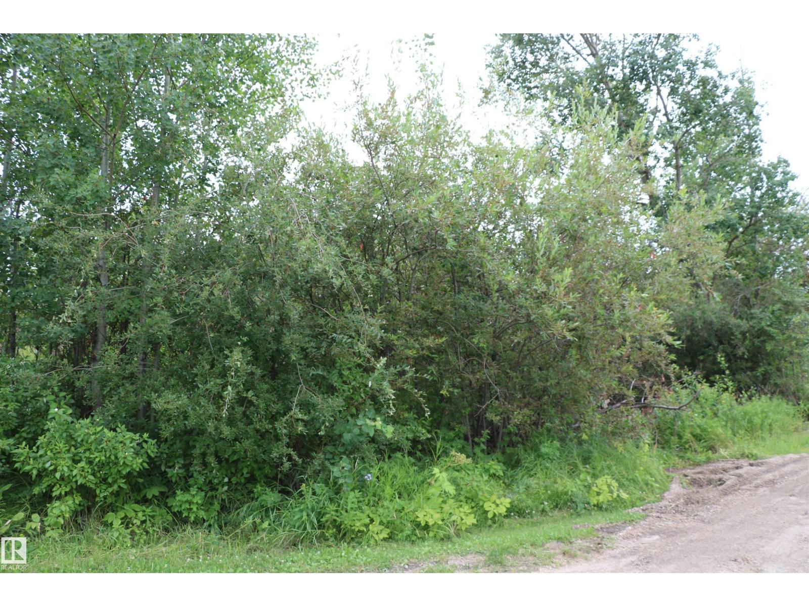 129, 5427 Hwy 633, Rural Lac Ste. Anne County, Alberta T0E 1E0 - Photo 3 - E4501564