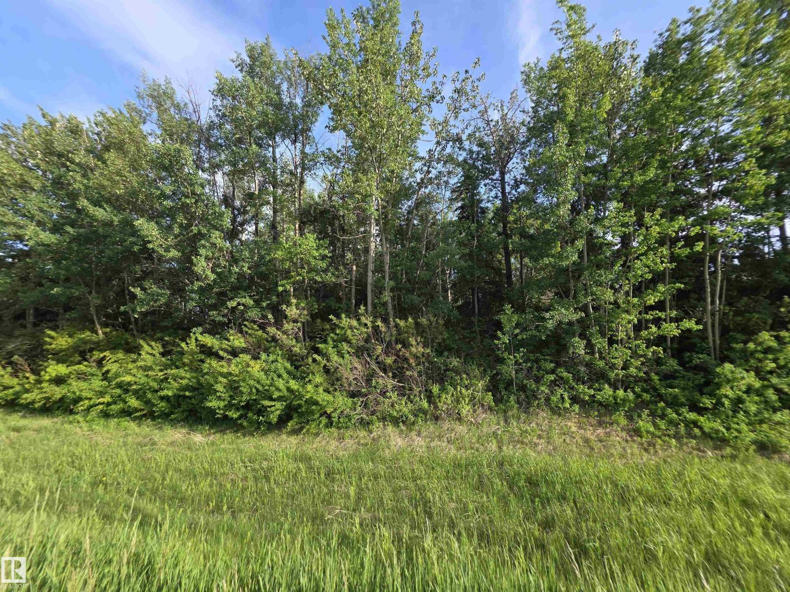 10035 Hwy 13, Rural Wetaskiwin County, Alberta  T0C 2V0 - Photo 7 - E4501920