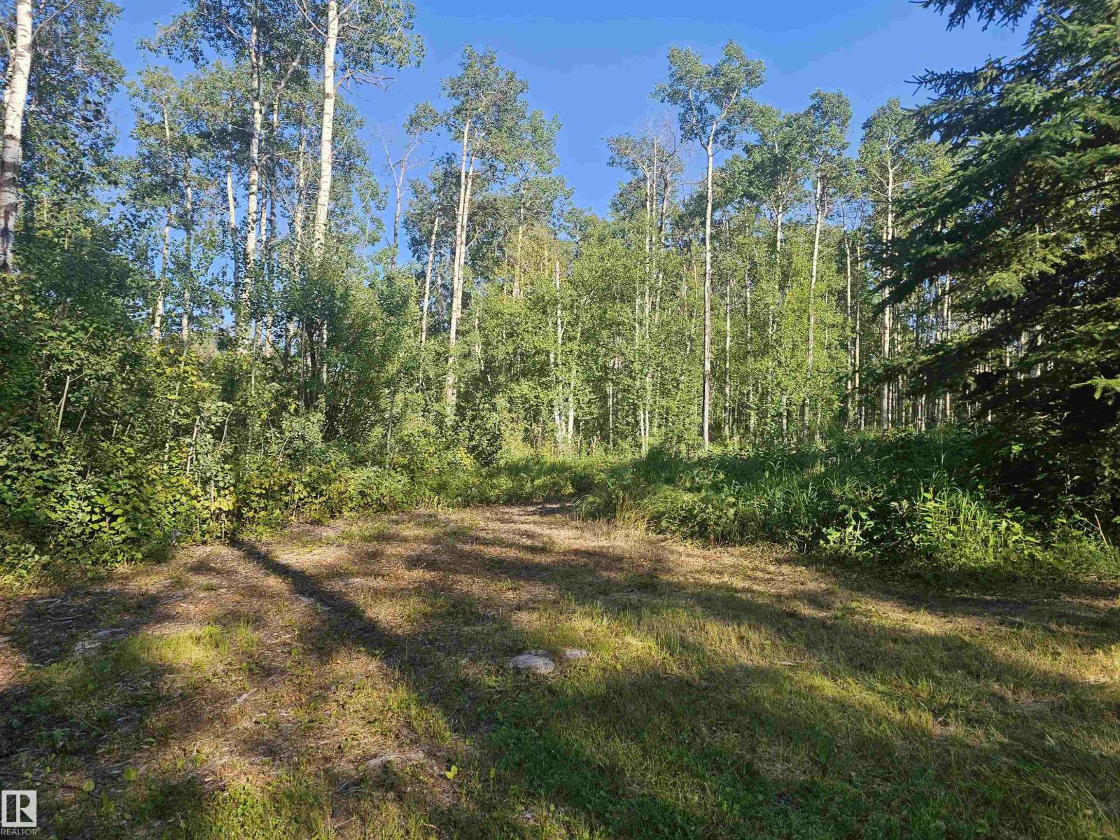 #309 1414 Hwy 37, Rural Lac Ste. Anne County, Alberta T0E 1V0 - Photo 13 - E4501934