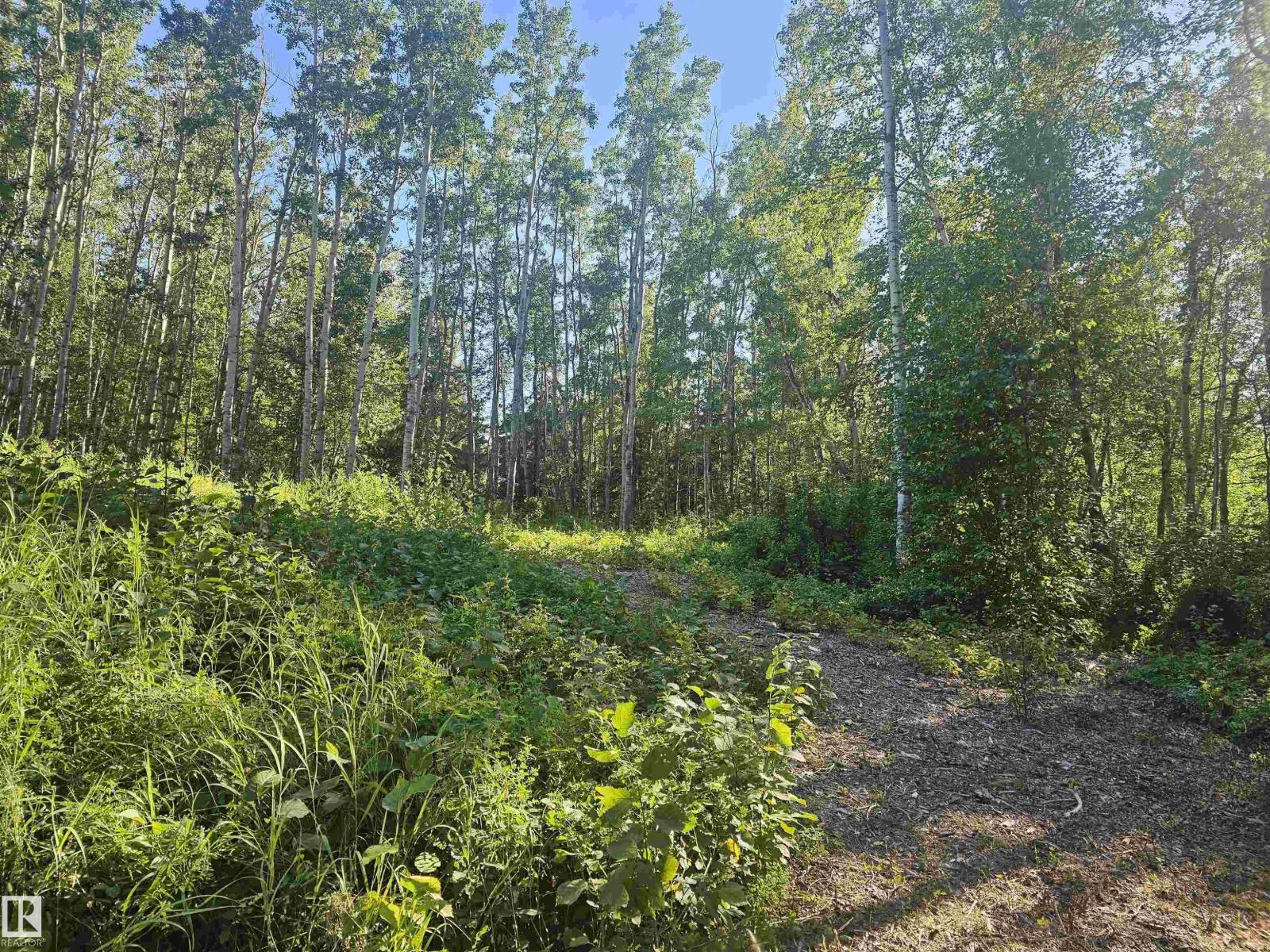 #309 1414 Hwy 37, Rural Lac Ste. Anne County, Alberta T0E 1V0 - Photo 14 - E4501934