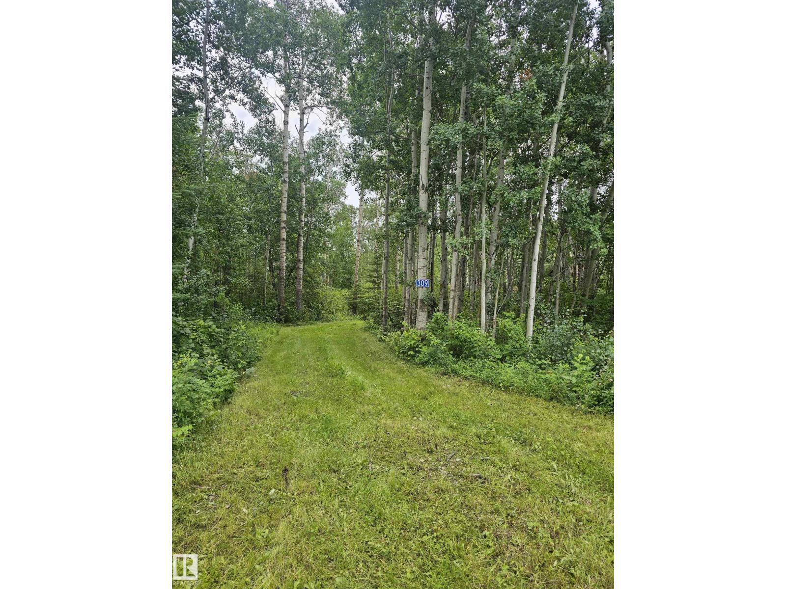 #309 1414 Hwy 37, Rural Lac Ste. Anne County, Alberta T0E 1V0 - Photo 7 - E4501934