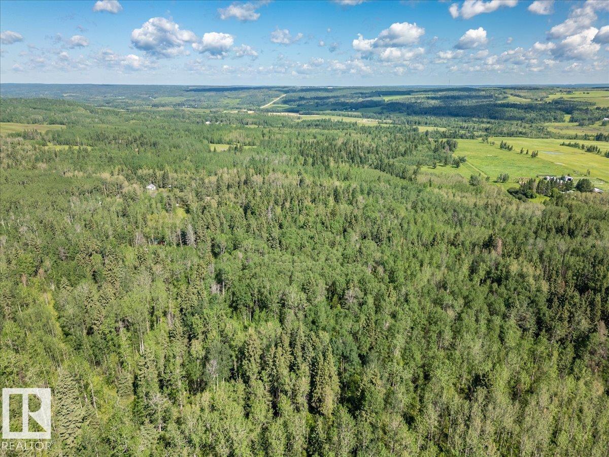 12049 Twp Road 454, Rural Wetaskiwin County, Alberta T0C 2V0 - Photo 25 - E4501949